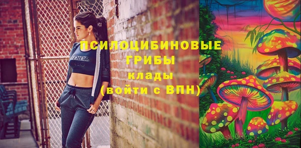 шишки Абинск