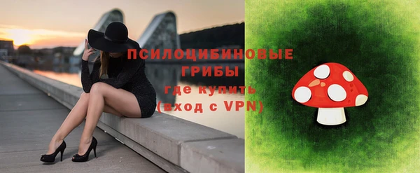 крисы Абдулино