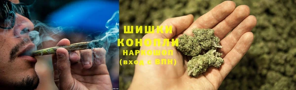 шишки Абинск