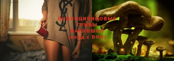 шишки Абинск