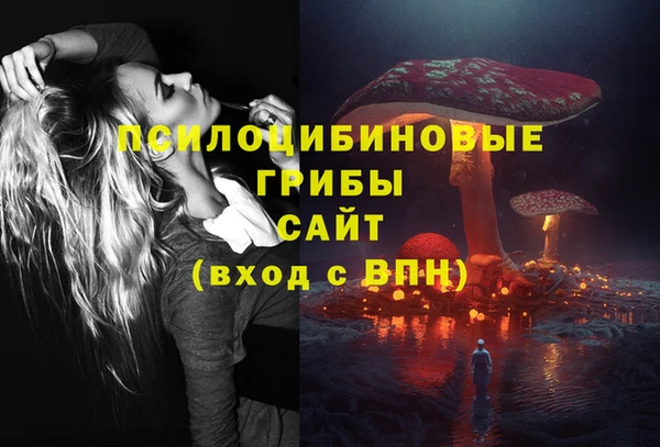 стафф Абаза