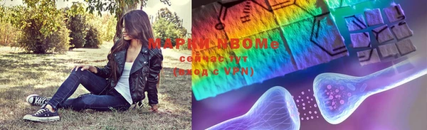 шишки Абинск
