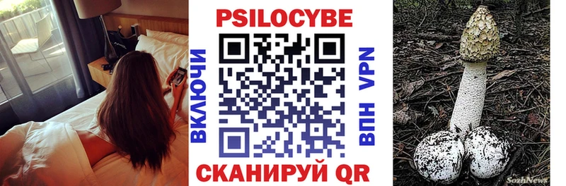 KRAKEN   Бавлы  Псилоцибиновые грибы Cubensis 